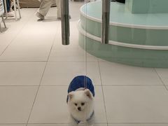 -怪兽屋·羊驼·猫咖·狗咖(俊华广场店)