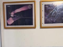 -瑞派福兴宠物医院犬猫全科·骨科·中西医结合(河东店)