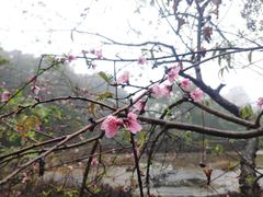 -飞霞风景名胜区