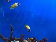 -海合安武汉极地海洋公园