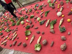 -前小桔亲子创意农场·草莓采摘·露营烧烤