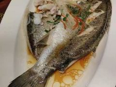 -鲁菜根·泰安菜(万达店)