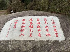 -庐山风景区花径公园