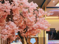 -极乐汤(川沙店)