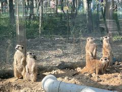 -水上乐园·欢乐世界