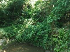 -大雁山风景区