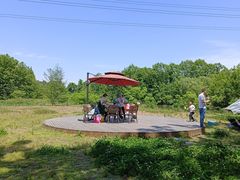 -桤木河湿地公园