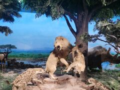 -国家自然博物馆