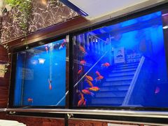 -午月海鲜烧烤酒店(不老街店)