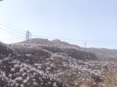 -定都峰
