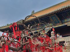 -台儿庄古城