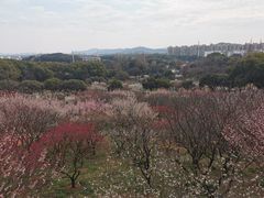 -无锡梅园公园