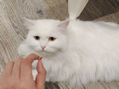 -小时光咖啡馆(开森度假森林店)