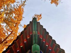-北京石刻艺术博物馆(五塔寺)