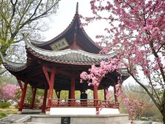 -采石矶景区