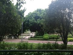 -光明港公园