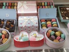 零售区-DORABELLA朵娜贝拉(武林银泰店)