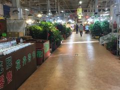 -大自然花鸟鱼虫市场