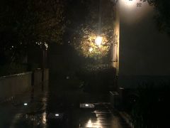 -百年尹氏汤包(湖南路狮子桥店)