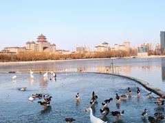-莲花池公园