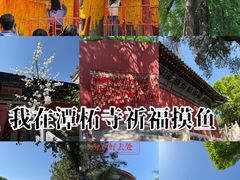 -潭柘寺景区