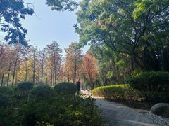 -金砂公园