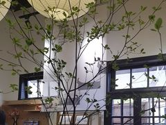 -宏村-南湖书院