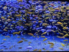 -成都浩海立方海洋公园