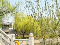 -元大都城垣遗址公园
