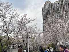-堤角公园