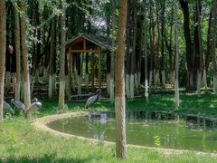 -艾溪湖湿地公园