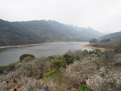 -广州市流溪河国家森林公园