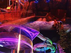 -重庆海昌加勒比海水世界