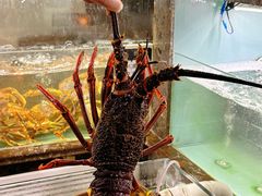 -甄御•海鲜新青岛菜(麦岛店)