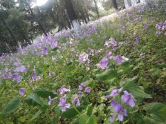 -江苏科技大学(梦溪校区)