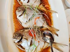 豉油蒸鲳鱼-上海小南国(不夜城店)