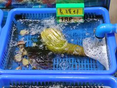 -好味道海鲜大排档·老字号(巽寮湾海鲜市场店)