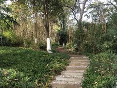 -菊花台公园