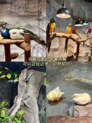 -Zoolung Zoolung动物主题公园(海信广场店)