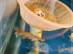 -如意楼农家菜(雁荡山店)