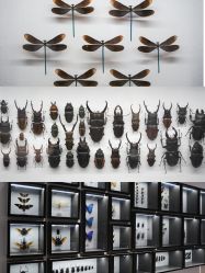 -酷嗒动物文化乐园(cutezoo西溪乐天城店)