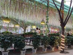 -一只烧鸡公(游仙店)