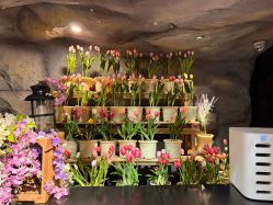 -Zoolung Zoolung动物主题公园(海信广场店)