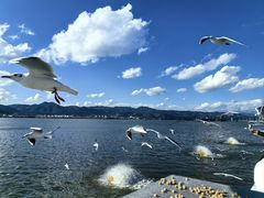 -海埂大坝