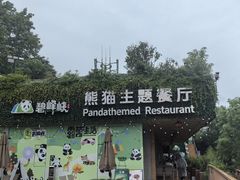 -熊猫主题餐厅