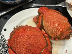 -西藏饭店·亚克·食光自助餐厅