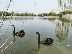 -江南大学(蠡湖校区)
