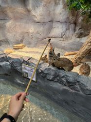 -Zoolung Zoolung动物主题公园(海信广场店)