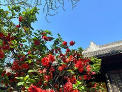 -成都市文殊院