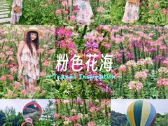 -云溪植物园